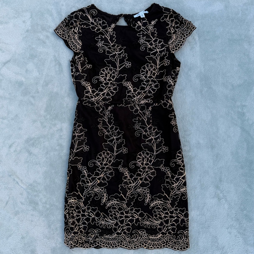 She + Sky open back cap sleeve lace embroidered dress